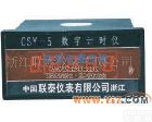 <em>CSY</em>-5 <em>CSY</em>-5系列数字<em>计时</em>仪 联泰 泰华 lt