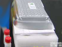 CFC015D 苏<em>丹红</em>ELISA<em>试剂盒</em>