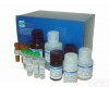 GT 人<em>胃泌素</em>（GT）ELISA<em>试剂盒</em><em>说明书</em>