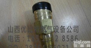 RegO 3129G RegO 3129G安全阀