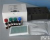  <em>长期</em>供应 人<em>维生素</em>D2（VD2）ELISA试剂盒 价格
