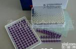 CFC006D 呋喃<em>西林</em>ELISA<em>试剂</em>盒