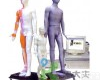 JAW-170E 光电<em>感应</em>、键控人体针灸穴位<em>发光</em>模型JAW-170E