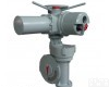 HQ1/LK <em>HQ1/LK系列智能型阀门电动执行机构</em>
