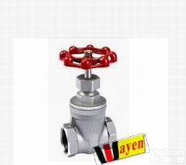 WAYEN <em>进口</em><em>不锈钢丝</em>扣<em>闸阀</em>
