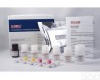  大鼠肿瘤坏死因子β(TNF-β)ELISA<em>试剂盒</em><em>诚信</em>服务