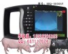 <em>HRQ</em>-5000AV <em>母猪</em>B超测孕仪，<em>母猪</em>B超测孕仪价格