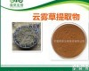 云雾草<em>提取物</em> 30:1<em>多种规格</em>定制<em>浸膏</em>