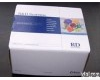  “人<em>可溶性</em>P<em>选择</em>素(sP-<em>selectin</em>)ELISA Kit”