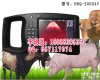 <em>HRQ</em>-5000AV <em>母猪</em>B超机，<em>母猪</em>用B超机价格，<em>母猪</em>用B超测孕仪价格