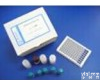 48T/96T盒 人促<em>胰液</em>素/胰泌素检测<em>试剂盒</em>