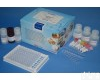 RND99024 <em>呋喃妥因</em>ELISA检测<em>试剂盒</em>