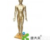 170cm“康<em>大夫</em>”人体针灸模型178CM(青铜色） “康<em>大夫</em>”人体针灸模型178CM(青铜色）