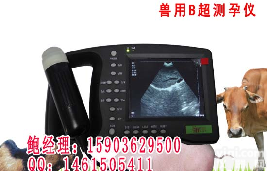 <em>HRQ</em>-<em>3000</em> 兽用B超 <em>动物</em>B超