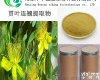 <em>贯叶连翘提取物</em>厂家