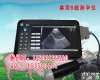 动物B超<em>HRQ-5100AV 动物B超</em>，动物B超价格，动物B超说明
