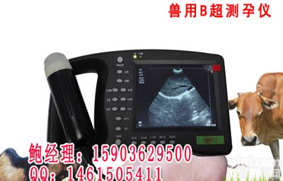 <em>HRQ</em>-<em>2000</em> 兽用B超 <em>动物</em>B超
