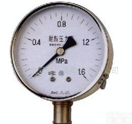 <em> YA-100、150系列氨压力表</em>