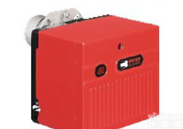 G10 G20, RL34 FS10,GS10 RS34,RS38 RL100 <em>利雅路</em><em>燃烧机</em>