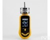 DP29670 泵吸二合一气体检测仪 <em>甲醛</em>、<em>二甲苯</em>测定仪