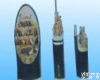 JY-KVV <em>电线电缆</em>