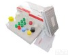 AA<em>试剂盒</em> 人<em>花生</em>四<em>烯酸</em> ELISA<em>试剂盒</em>