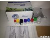  人<em>血管</em><em>生成素</em>1(ANG-1)<em>ELISA</em> Kit