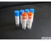  鼠抗人α 亚基人绒毛膜促性腺激素(α -<em>HCG</em>)单抗