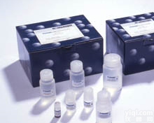 25597-16-4 4,4,4-<em>三氟</em>巴豆酸<em>乙酯</em>