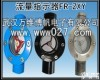 流量<em>指示器</em> 水流<em>指示器</em>FR-ZXY 视窗<em>叶轮式</em>