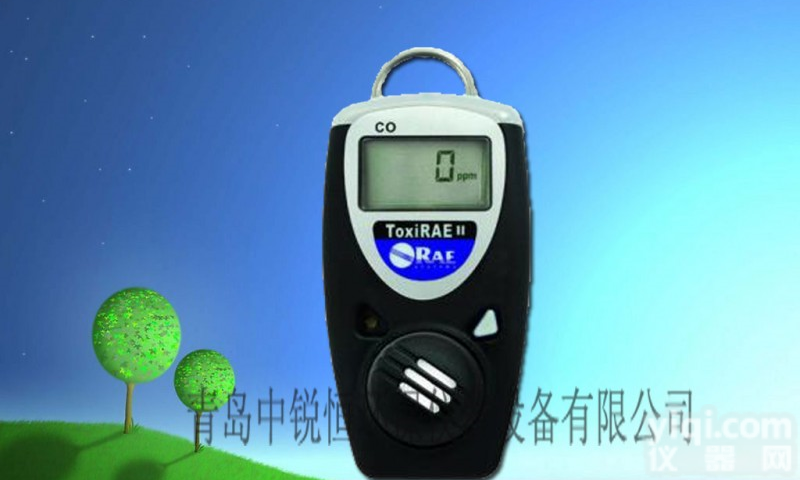 <em>PGM-1100便携式氧气检测仪 PGM-1100便携式氧气检测仪</em>