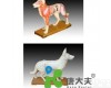 放大 “康大夫”狗体针灸<em>模型</em> /<em>动物</em>针炙<em>模型</em>/针炙<em>模型</em>