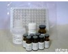  鸡<em>白介素</em>6(IL-6)ELISA Kit <em>供应商</em>
