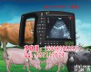 HRQ-2000AV <em>青岛</em><em>兽用</em>B超，<em>青岛</em><em>兽用</em>B超机，<em>兽用</em>B超测孕仪