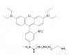 PS2-N<em>RB</em>-2k <em>Rhodamine</em> <em>PEG</em>, <em>RB</em>-<em>PEG</em>-NH2