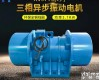 MV-50-6三相异步<em>振动电机</em>/3.7<em>千瓦</em>