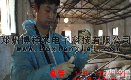 <em>BXL</em>-V20 <em>兽用</em>b超<em>兽用</em>M超怎么判断<em>动物</em>死胎