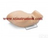XTY5108703 <em>宫腔镜</em><em>检查</em>模型