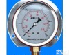 YN-50/YN60/YN75/YN100/YN150	 径向带<em>边充油</em><em>压力表</em>