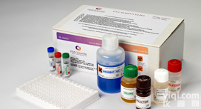 96T 自身<em>免疫</em>ELISA<em>试剂盒</em> 自身<em>免疫</em>性疾病