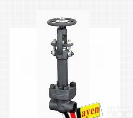WAYEN 进口<em>锻钢低温截止阀</em>