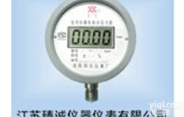 <em> 数字防爆电接点压力表</em>