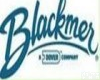 BLACKMER叶片泵 BLACKMER叶片泵