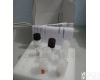 牛<em>干扰素</em>α(IFNα)ELISA<em>试剂盒</em> 牛<em>干扰素</em>α(IFNα)ELISA<em>试剂盒</em>