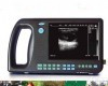 VD-3000V  动物B超 <em>掌上</em>型<em>兽用</em>B超
