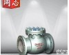 <em>H44W-16P 不锈钢旋启式止回阀</em>