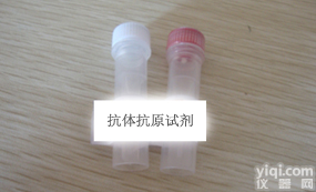 hy036937 <em>细胞增殖</em>诱导蛋白54抗体，SCC112，PIG54