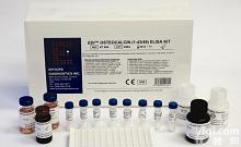 96T 人<em>生物活性</em>的甲状旁腺激素（1-84）ELISA<em>试剂盒</em>