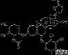 <em>黄芪</em>皂苷II，Cas：84676-89-1