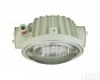 <em>华荣</em>GCD5010  GCD5010 <em>隔爆型</em><em>防爆灯</em>